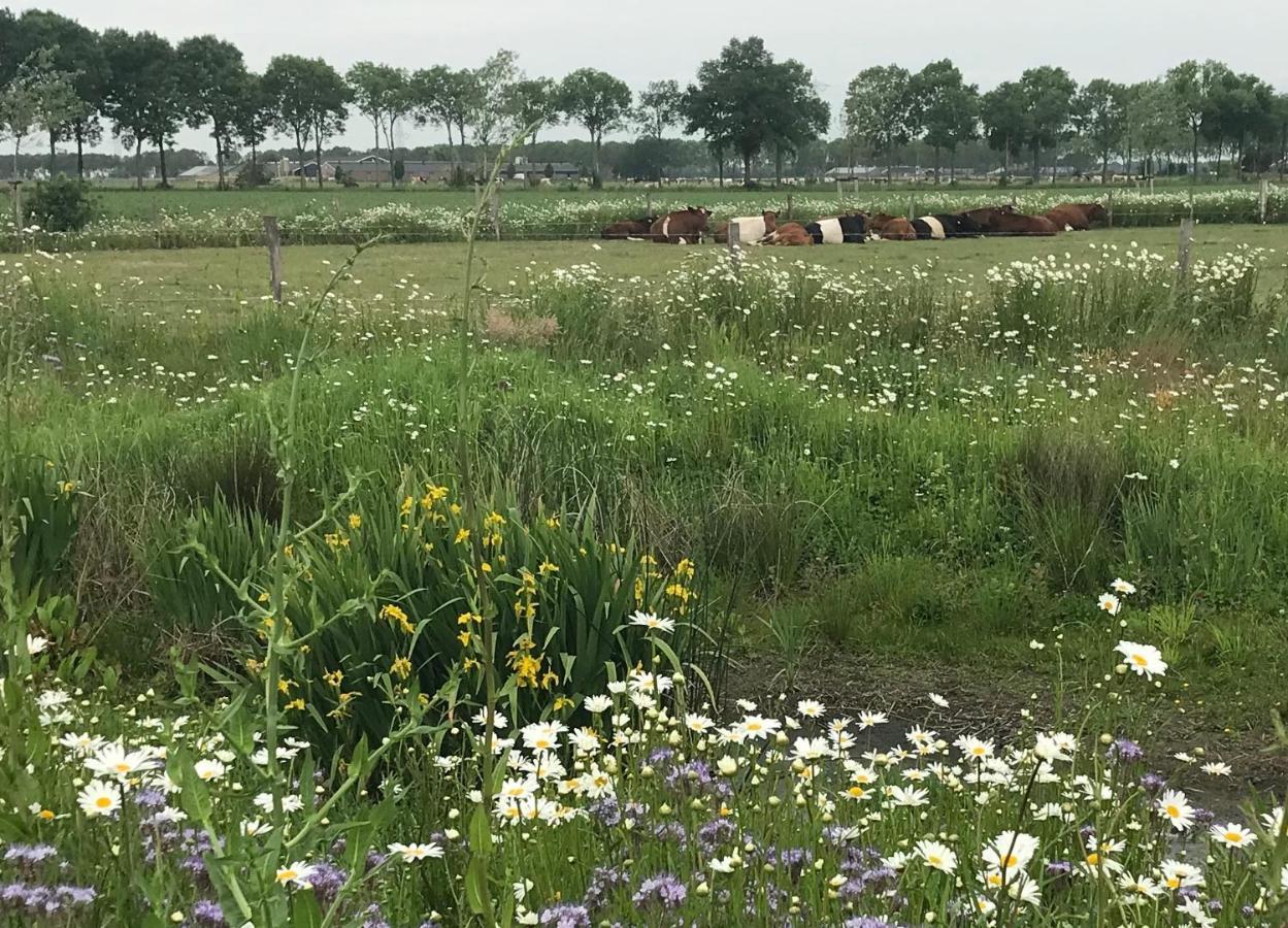 B&B In Ons Straatje Rosmalen Eksteriør billede