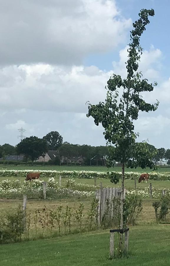 B&B In Ons Straatje Rosmalen Eksteriør billede